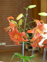 Foto: Dr. Peter Müller